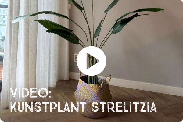 Video Kunstplant strelitzia